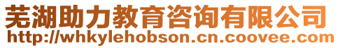 蕪湖助力教育咨詢有限公司
