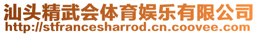 汕頭精武會體育娛樂有限公司