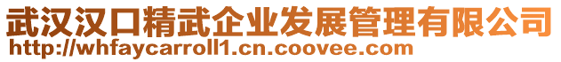 武漢漢口精武企業(yè)發(fā)展管理有限公司