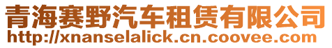青海賽野汽車租賃有限公司