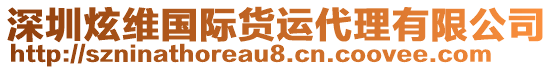 深圳炫維國際貨運(yùn)代理有限公司