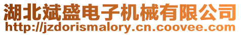 湖北斌盛電子機械有限公司