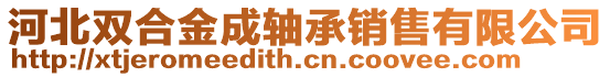 河北雙合金成軸承銷(xiāo)售有限公司