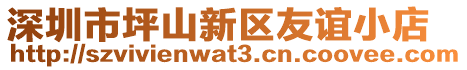 深圳市坪山新區友誼小店