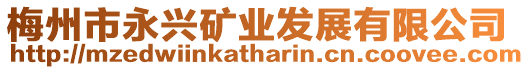 梅州市永興礦業發展有限公司
