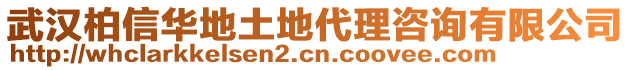 武漢柏信華地土地代理咨詢有限公司