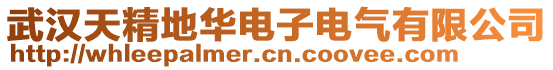 武漢天精地華電子電氣有限公司