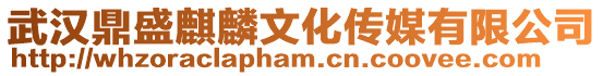武漢鼎盛麒麟文化傳媒有限公司