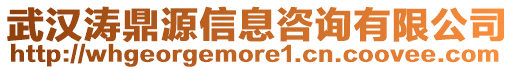 武漢濤鼎源信息咨詢有限公司