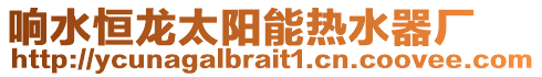 響水恒龍太陽能熱水器廠