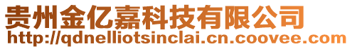 貴州金億嘉科技有限公司