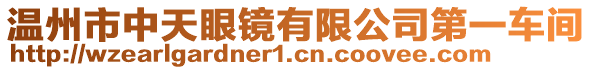 溫州市中天眼鏡有限公司第一車間