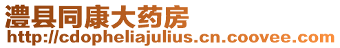 澧縣同康大藥房