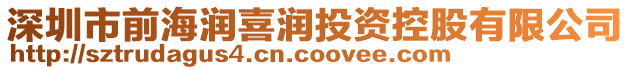 深圳市前海潤喜潤投資控股有限公司