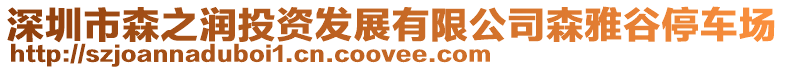 深圳市森之潤投資發(fā)展有限公司森雅谷停車場