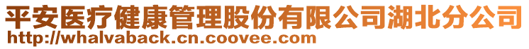 平安醫(yī)療健康管理股份有限公司湖北分公司