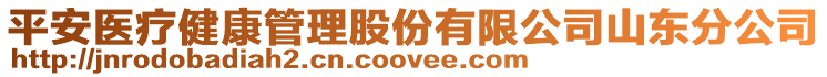 平安醫(yī)療健康管理股份有限公司山東分公司