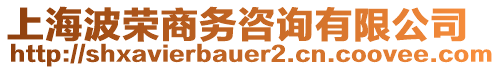 上海波榮商務(wù)咨詢有限公司