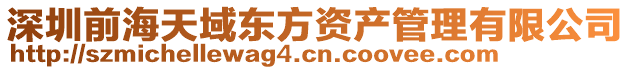 深圳前海天域東方資產(chǎn)管理有限公司