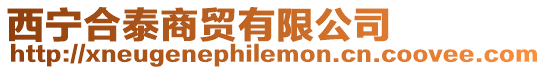 西寧合泰商貿有限公司