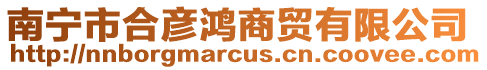 南寧市合彥鴻商貿(mào)有限公司