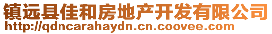 鎮(zhèn)遠(yuǎn)縣佳和房地產(chǎn)開發(fā)有限公司