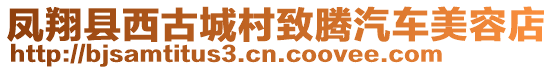 鳳翔縣西古城村致騰汽車美容店