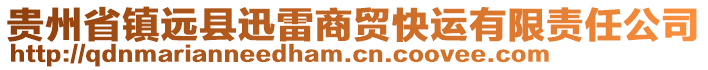 貴州省鎮(zhèn)遠(yuǎn)縣迅雷商貿(mào)快運(yùn)有限責(zé)任公司