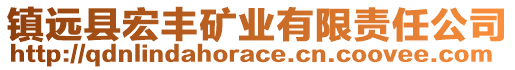 鎮(zhèn)遠(yuǎn)縣宏豐礦業(yè)有限責(zé)任公司