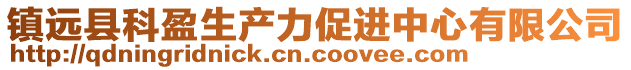 鎮(zhèn)遠(yuǎn)縣科盈生產(chǎn)力促進(jìn)中心有限公司