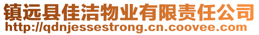 鎮(zhèn)遠(yuǎn)縣佳潔物業(yè)有限責(zé)任公司