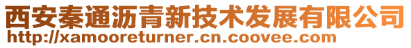 西安秦通瀝青新技術發(fā)展有限公司