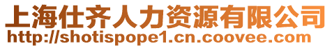 上海仕齊人力資源有限公司