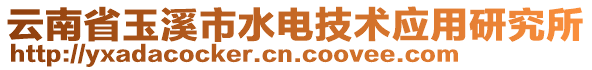 云南省玉溪市水電技術應用研究所
