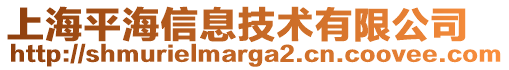 上海平海信息技術(shù)有限公司