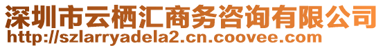 深圳市云棲匯商務(wù)咨詢有限公司