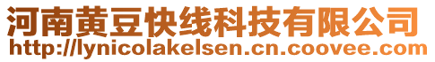 河南黃豆快線科技有限公司