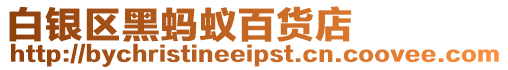 白銀區(qū)黑螞蟻百貨店