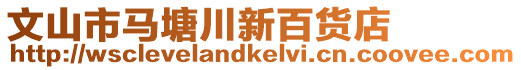 文山市馬塘川新百貨店