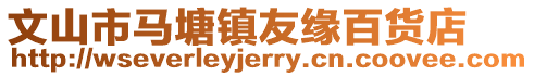 文山市馬塘鎮友緣百貨店