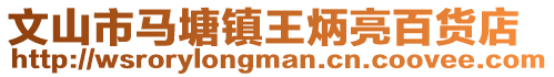 文山市馬塘鎮(zhèn)王炳亮百貨店