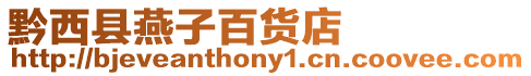 黔西縣燕子百貨店