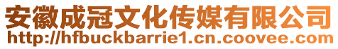 安徽成冠文化傳媒有限公司