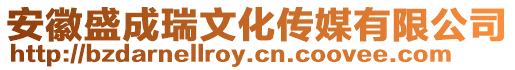 安徽盛成瑞文化傳媒有限公司