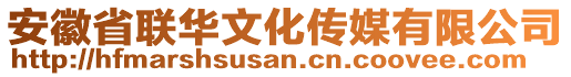 安徽省聯(lián)華文化傳媒有限公司