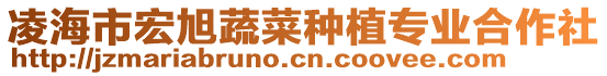 凌海市宏旭蔬菜種植專業(yè)合作社