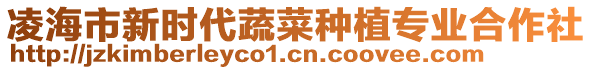 凌海市新時(shí)代蔬菜種植專業(yè)合作社