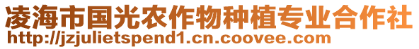 凌海市國光農(nóng)作物種植專業(yè)合作社