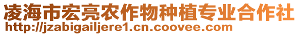 凌海市宏亮農(nóng)作物種植專業(yè)合作社