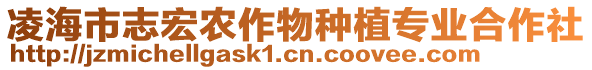 凌海市志宏農(nóng)作物種植專業(yè)合作社